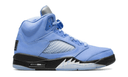 Air Jordan 5 SE UNC