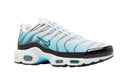 Buty Nike Air Max Plus Baltic Blue
