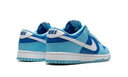 Buty Nike Dunk Low Argon