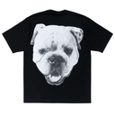 Koszulka Stussy Big Dog Washed Tee Black