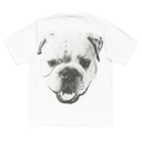 Koszulka Stussy Big Dog Washed Tee White