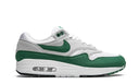 Nike Air Max 1 Anniversary Green (2020)