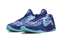 Nike Kobe 5 Protro X-Ray